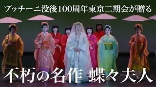 2024年7月プッチーニ没後100周年に贈る名作『蝶々夫人』～宮本亞門演出、故・髙田賢三衣裳デザイン……世界に誇る日本のアーティスト夢のタッグが実現！