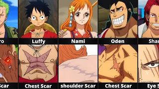 One Piece Characters Scars & Marks