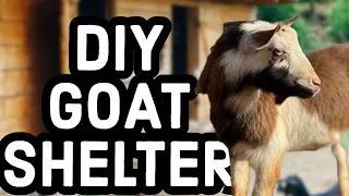 DIY Goat Shelter Upgrade: Enhancing Comfort and Style! 🛋️🐐
