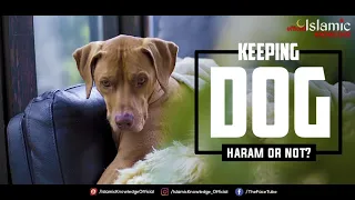 Keeping dogs In The House Haram or Halal! | @IslamicKnowledgeOfficial
