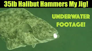 35lb Halibut Hammers My Jig! Underwater Footage! Alaskan Halibut Fishing - Juneau, Alaska JULY 2022