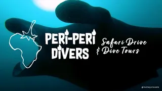 Peri Peri Divers - Safari Drive & Dive