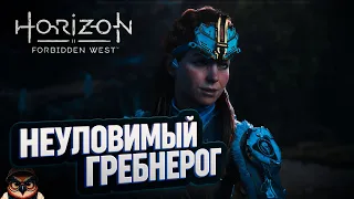 НЕУЛОВИМЫЙ ГРЕБНЕРОГ 🦉 HORIZON FORBIDDEN WEST #16