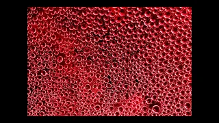 Trypophobia Test Images