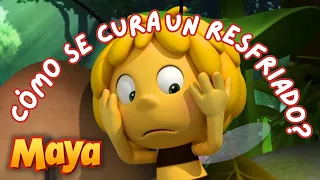 LA ABUELITA ARAÑA TIENE UN TREMENDO RESFRIADO 🤒🤒 MEJORES CAPÍTULOS DE MAYA para niños en ESPAÑOL 🐝