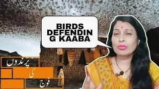 Birds Defending KAABA | Urdu Dubbed | (پرندے کعبہ کا دفاع کرتے ہیں)|  reaction| Kaaba | Allah |islam