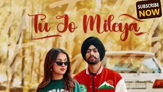 Tu Jo mileya(slowed + reverb) Punjabi Slowed [use headphones]