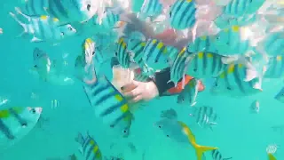 NHY Travel: 4-star Aman Tioman Beach Resort (Version 1) | Directed by the TRIOMINE