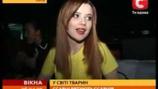 Звезды начали спасать животных