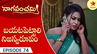 Naga Panchami - Episode 74 Highlight 2 | Telugu Serial | StarMaa Serials | Star Maa