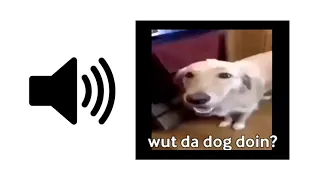 What The Dog Doin - Sound Effect | ProSounds