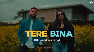 Tere Bina (Slowed & Reverb)🎶 | Garry Sandhu New Song Lyrics@Fahadreverbs | Fahad Reverbs