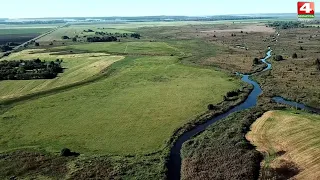 В объективе натуралиста. Грайно. 09.09.2020