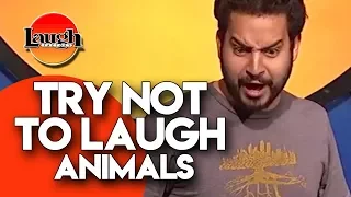 Try Not To Laugh | Animals | Laugh Factory Stand Up Comedy