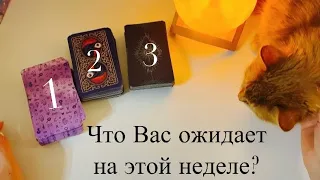 Что Вас ожидает на этой неделе?🙂 Книги судеб🦚Таро