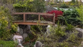 Exploring Flint's Notorious Abandoned Pirate's Park with HUGE Decaying Waterslides