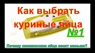 Как выбрать куриные яйца? Синявинская птицефабрика: почему их яйца весят меньше?