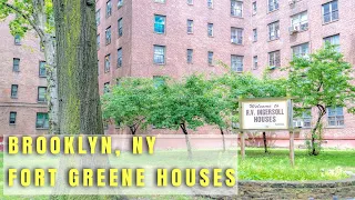 Fort Greene Project's | Brooklyn, NY #brooklyn #hoodvlogs #nyc