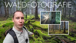 Waldfotografie im moosigen Fichtenwald