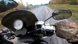 Learning Rolling Burn-Out Sportster