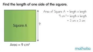 Area and Length of a Square