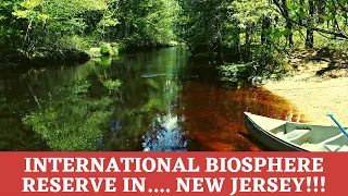 Understanding an ecological treasure: the Pine Barrens of New Jersey!