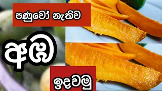 පණුවෝ නැතිව අඹ ඉදවමු