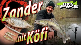 ZANDER mit KÖFI | Deadbaiting im Winter | Zanderangeln mit Pose und Grundblei am Geheimtipp See