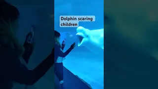 Dolphin Scaring Children