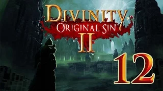 Divinity Original Sin II - 12: Magister Mayhem - Let's Play Divinity Gameplay