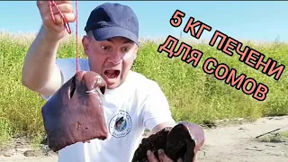 СОМ на ПЕЧЕНЬ! Или как поймать СОМА? (Часть 1)