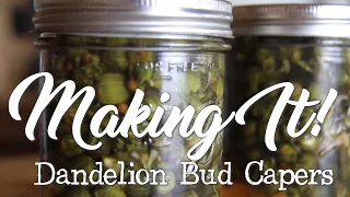 MAKING IT!: Dandelion Bud Capers