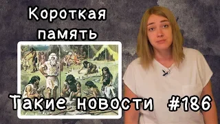 Путин и червяк  Такие новости №187