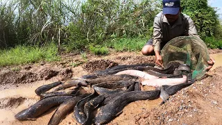 amazing fishing village! a lot of catch catfish on waterway when flood water catch by hand