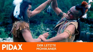 Pidax - Der letzte Mohikaner (1971, TV-Serie)