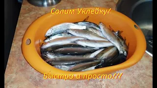 Солим Уклейку! Быстро и просто!!!