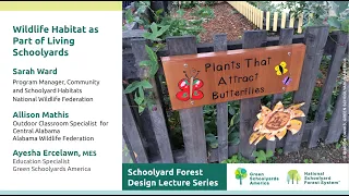 Schoolyard Forest Design Lecture Series 7: Wildlife Habitat as Part of Living Schoolyards