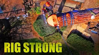 Tree Work with Strong Rigging