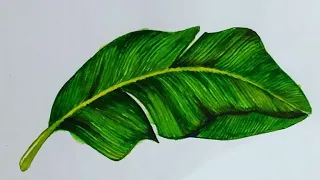 Banana Leaf Drawing | Water Colour | Realistic Banana Leaf Painting