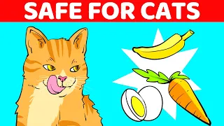 10 Human Foods That Are Great For Cats