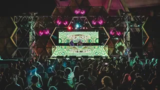 Tinlicker at Ultra Miami 2019