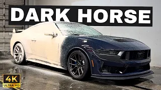 Dark Horse Foam Wash - Ford Mustang Auto Detailing (Satisfying ASMR)