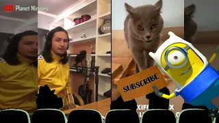 Minions watching The Kiffness X Alugalug Cat 2.0 (Please Go Away)