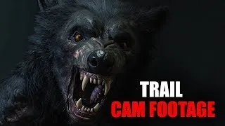 Just Released SHOCKING Trail Cam Footage