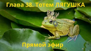 Тотем ЛЯГУШКА. Глава 38. Энциклопедия "Всё о Шаманизме". Шаман - Сергей Попроцкий. Прямой эфир.