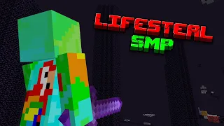 The Last Players in the End - LifeSteal SMP *