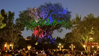 Disney's Animal Kingdom 2022 Night Tour & Walkthrough in 4K | Walt Disney World Orlando Florida