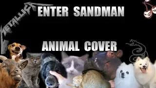 Metallica - Enter Sandman (Animal Cover)