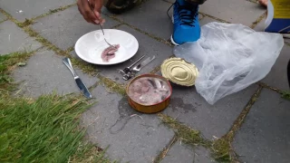 Surströmming Challenge in the Netherlands