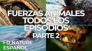 Fuerzas Especiales Animales Todos los Episodios Parte 2 | Free Documentary Nature Español